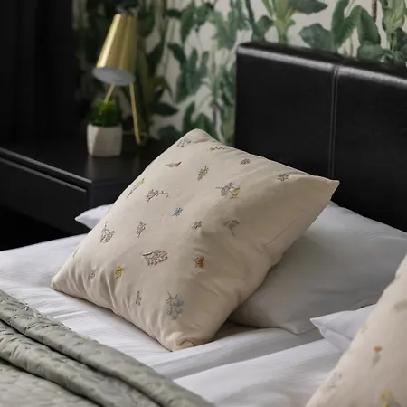 Spacious With Air Conditioning In The Old Town Of By Renters Apartment